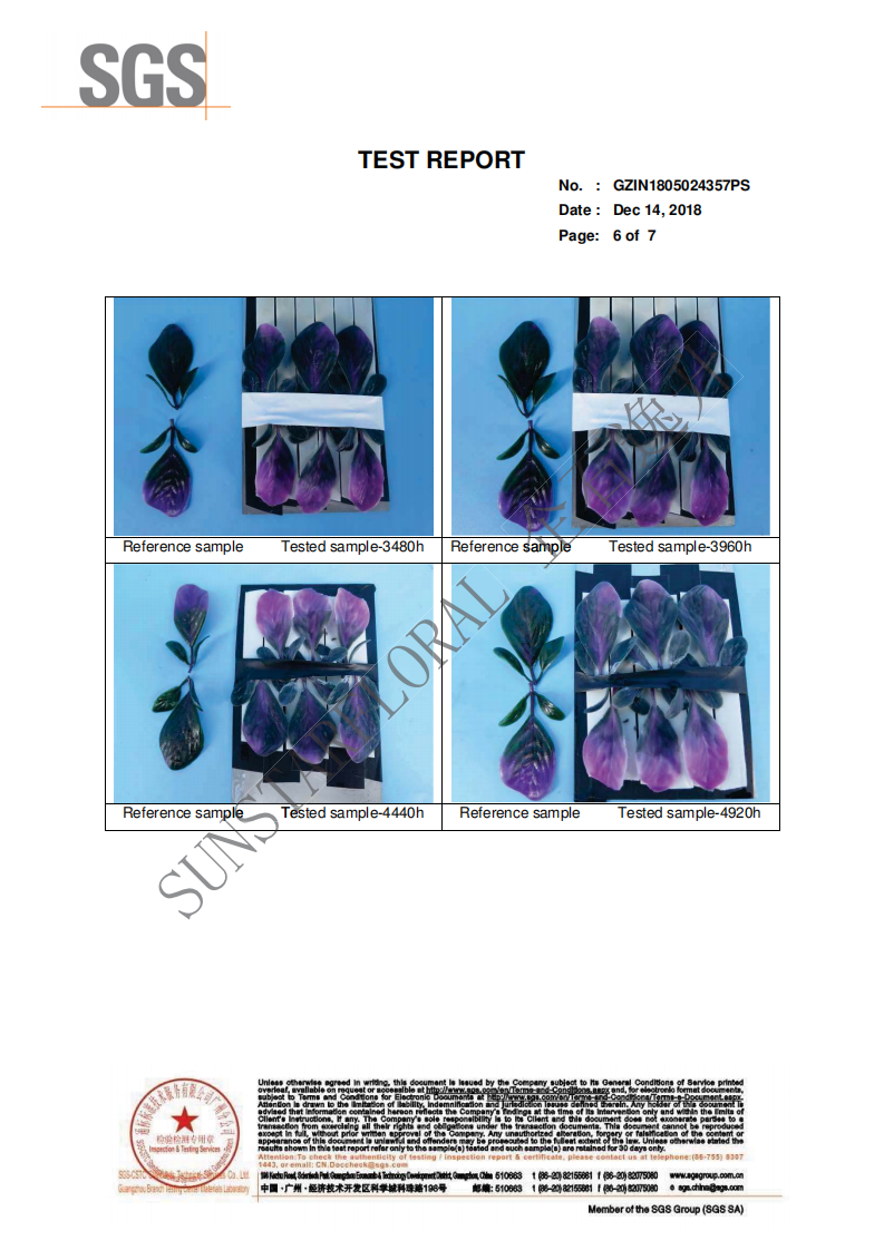 ARTIFICIALPLANT_Light Ageing TEST REPORT(图6)