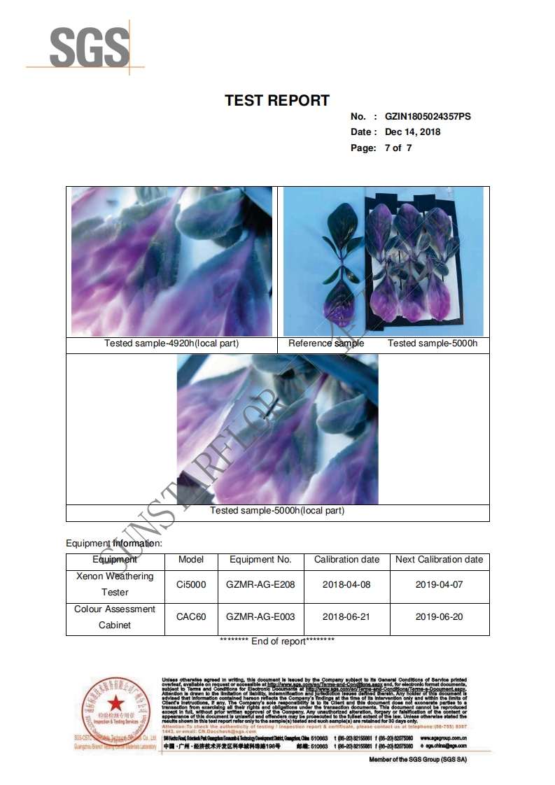 ARTIFICIALPLANT_Light Ageing TEST REPORT(图7)